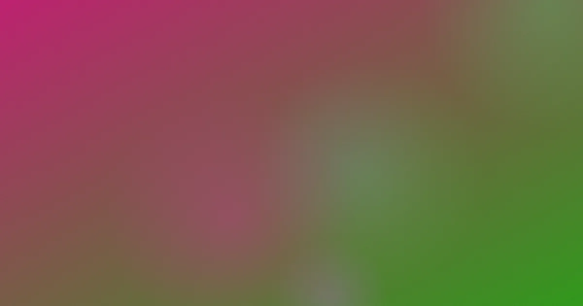 吊带蕾丝测评避坑流程